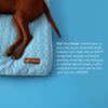 Corvae Pet Cooling Blanket