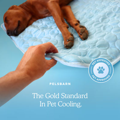 Corvae Pet Cooling Blanket