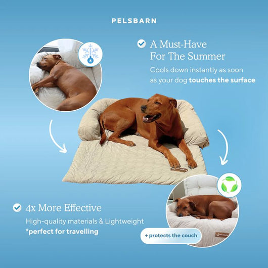 Corvae Pet Cooling Blanket