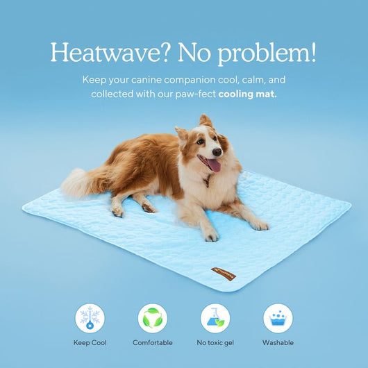 Corvae Pet Cooling Blanket