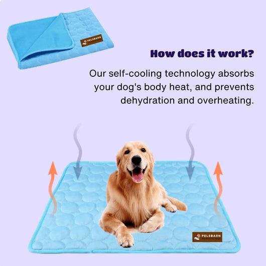 Corvae Pet Cooling Blanket