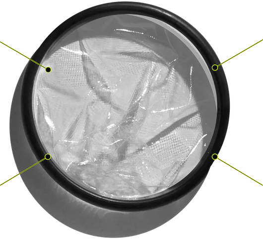 Placeholder: labeled diagram of disc features