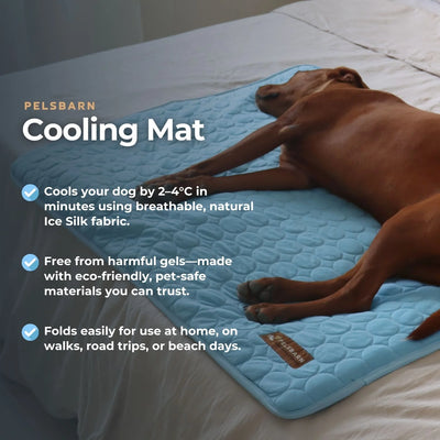 Corvae Pet Cooling Blanket