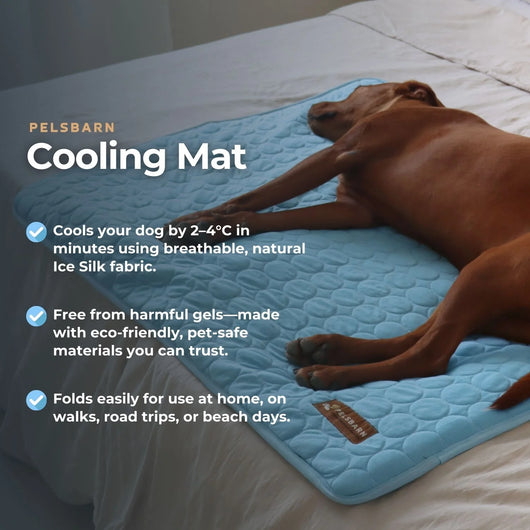 Corvae Pet Cooling Blanket