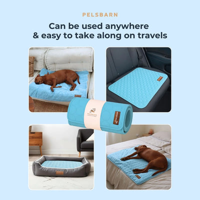 Corvae Pet Cooling Blanket