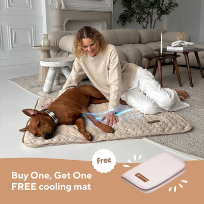 Corvae Pet Cooling Blanket